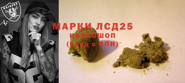 индика Ростов