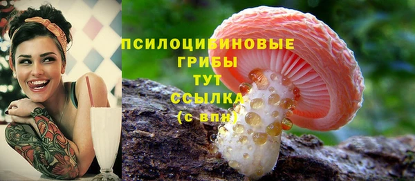 а пвп мука Лиски